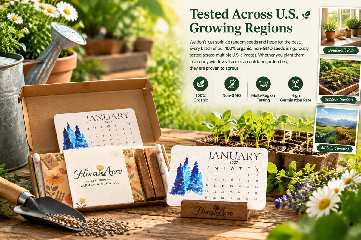 timeless seed calendar 2027 2 landing 07