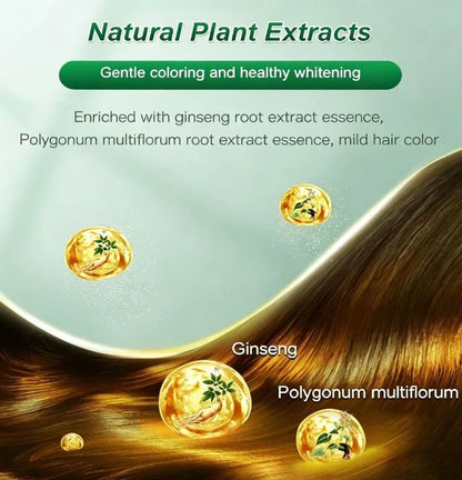 Botanical Fruit Essence Hair Dye Cream Nourishing Gray Coverage
