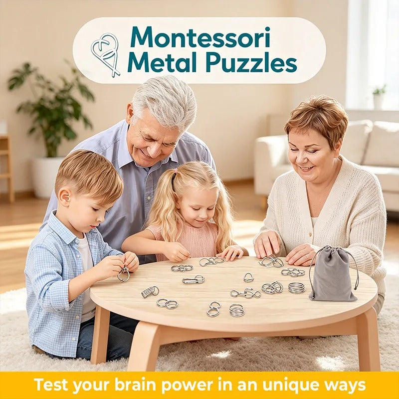 🎁 Metal Montessori Puzzle Solving