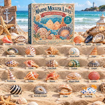 Marine Mollusk Lives Advent Calendar 2026 - 24-Day Festive Countdown, Acrylic Charms Blind Box