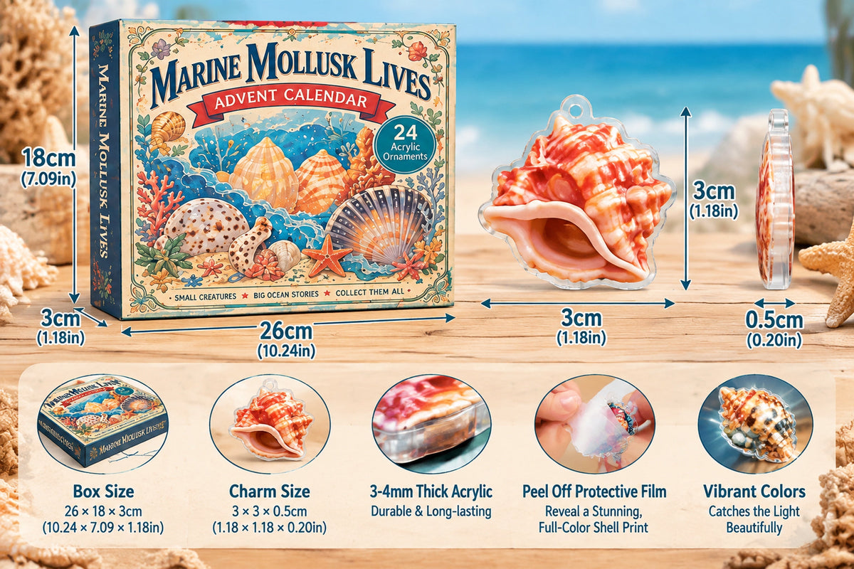 marine mollusk lives advent calendar 2026 landing 06