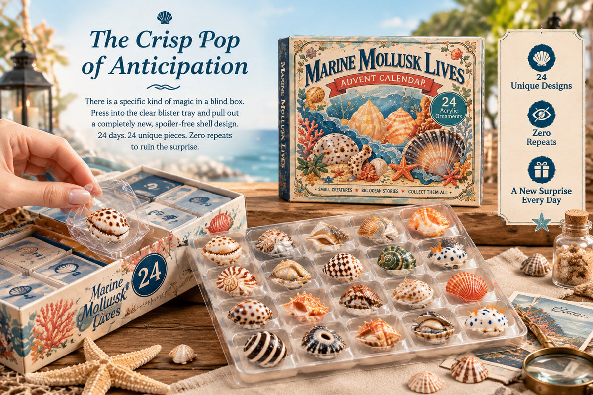 marine mollusk lives advent calendar 2026 landing 05